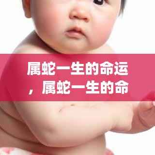 属蛇人的命运轮廓,洞察蛇年出生者的终身运势