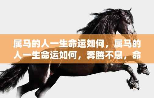 虫蚀鸟步 第4页