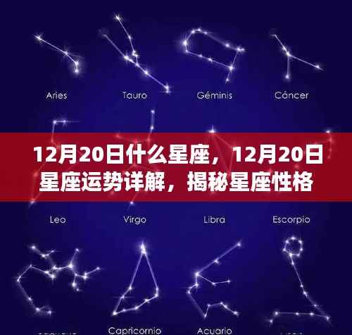 揭秘12月20日星座运势与性格魅力,掌握未来走向
