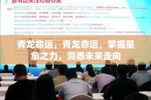 掌握星象之力,青龙命运洞悉未来走向的奥秘