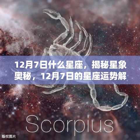 揭秘星象奥秘,12月7日星座运势解析及运势特点