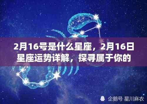 揭秘2月16日星座运势,探寻属于你的星辰轨迹