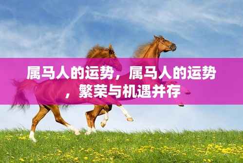 属马人的繁荣与机遇并存，运势展望与机遇解析