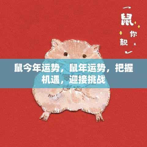 鼠年运势展望,把握机遇,迎接挑战