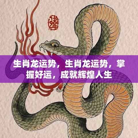 掌握生肖龙运势,成就辉煌人生之路