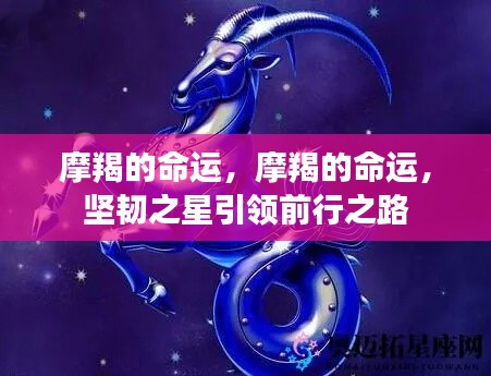 摩羯命运揭秘,坚韧之星领航前行之路