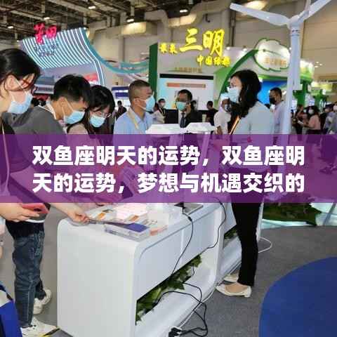 双鱼座明日运势,梦想与机遇的美好交织时光