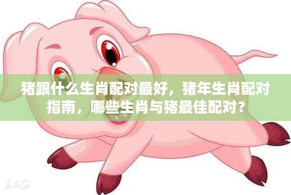 猪年生肖配对指南,最佳配对生肖揭秘