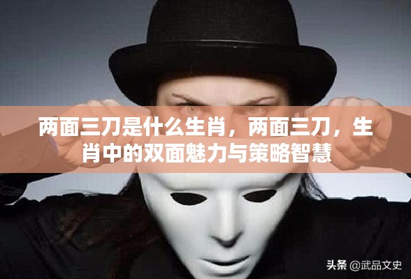 两面三刀背后的生肖魅力,策略智慧与双面魅力探索