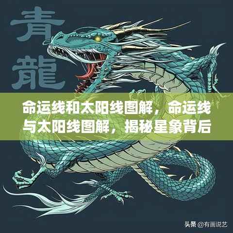 命运线与太阳线图解,揭秘星象奥秘与深层含义探索