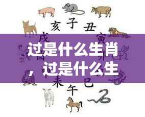 揭秘生肖之谜,命运与生肖过的神秘联系