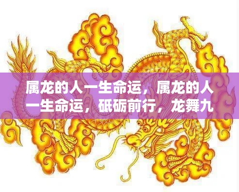 属龙人的命运轨迹,砥砺前行,龙舞九天的一生