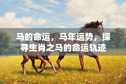 生肖马命运探寻,运势轨迹与未来展望