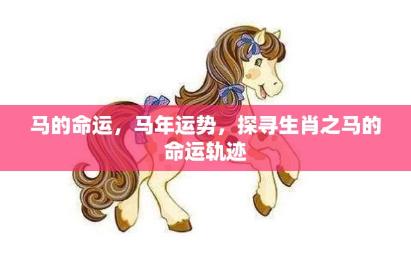 生肖马命运探寻,运势轨迹与未来展望