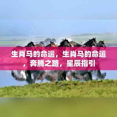生肖马命运揭秘,星辰指引下的奔腾之路