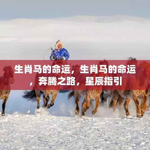 生肖马命运揭秘,星辰指引下的奔腾之路