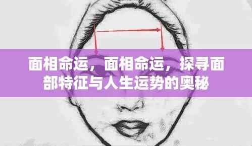 面相命运揭秘,探寻面部特征与人生运势的奥秘联系