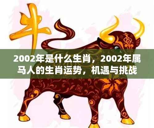 2002年属马人的生肖运势,机遇与挑战并存的一年回顾