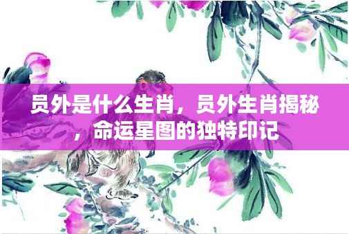 员外生肖揭秘与命运星图的独特印记
