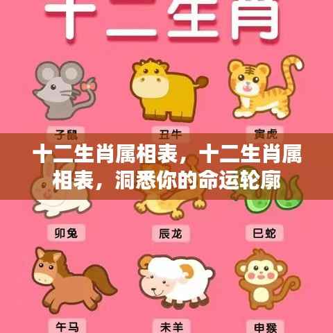 十二生肖属相表,揭秘命运之轮