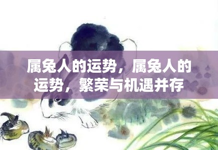 属兔人的繁荣与机遇并存,运势展望与机遇分析