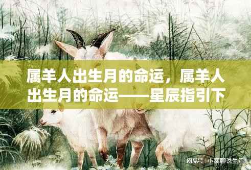 行百里者半九十 第3页