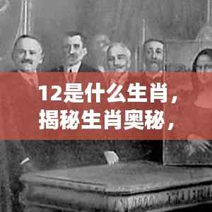 揭秘生肖奥秘,当数字12遇上千年生肖轮回的奥秘