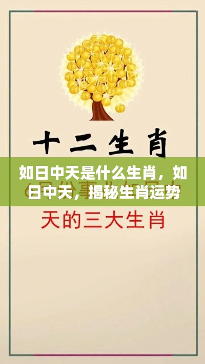 如日中天,揭秘生肖运势巅峰时刻