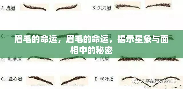 星象与面相揭秘,眉毛命运的奥秘