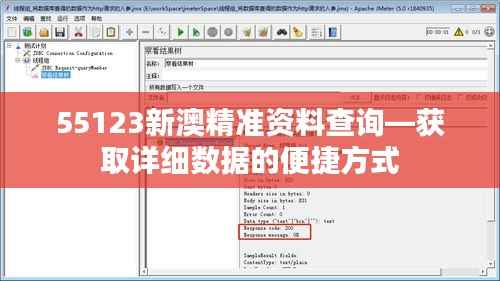 55123新澳精准资料查询—获取详细数据的便捷方式
