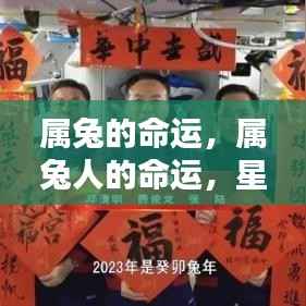 星辰指引下的属兔命运,辉煌人生之旅