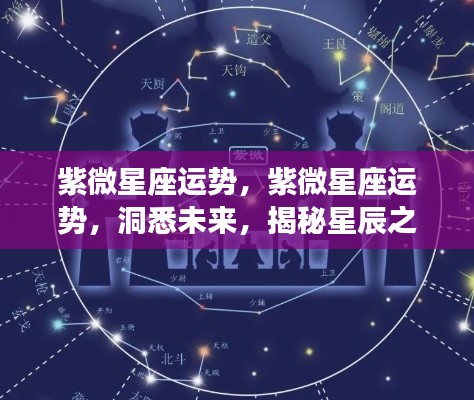 紫微星座运势揭秘,星辰指引命运之路