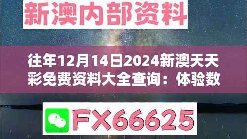 往年12月14日2024新澳天天彩免费资料大全查询:体验数字选择的艺术