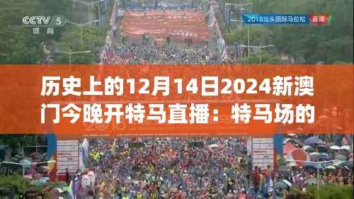 历史上的12月14日2024新澳门今晚开特马直播:特马场的魅力,历史的篇章