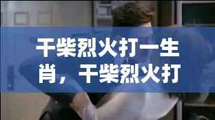 揭秘生肖运势中的激情与机遇,干柴烈火背后的生肖之谜。