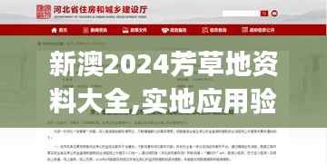 新澳2024芳草地资料大全,实地应用验证数据_4DM8.456