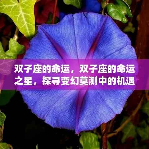 狐假虎威 第4页