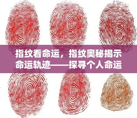 指纹奥秘探寻命运轨迹,命运之纹的独特印记