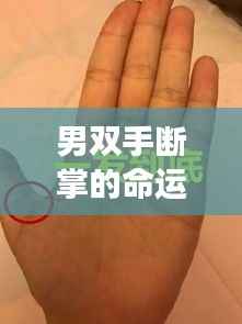 男双手断掌的命运,星象指引下的独特人生轨迹探索
