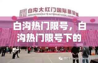 白沟热门限号下的星座运势展望