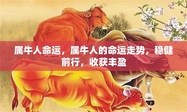 属牛人的命运走势,稳健前行,丰盈收获