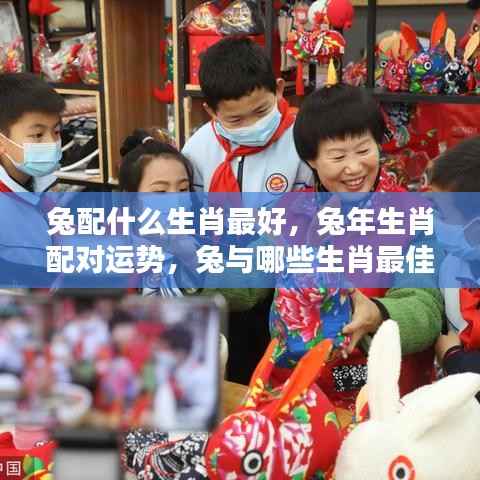 兔年生肖配对运势详解,兔与哪些生肖最佳搭配?