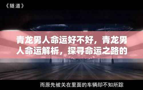 青龙男人命运深度解析,探寻命运之路上的奥秘与特点