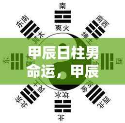 甲辰日柱男命,命运走向的独特轨迹探寻