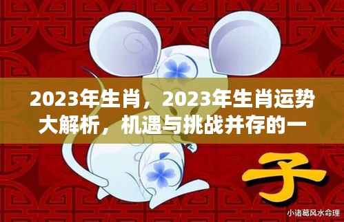 2023年生肖运势大解析,机遇与挑战并存的一年