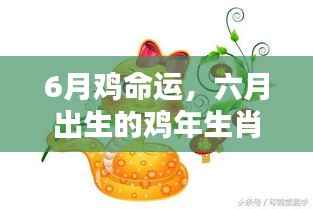 六月出生的鸡年生肖命运解析,如何大放异彩?