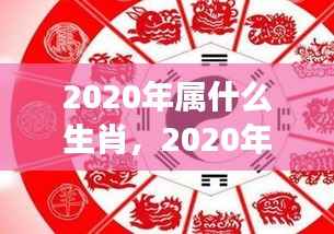 揭秘2020年属相运势,生肖星象指引未来走向