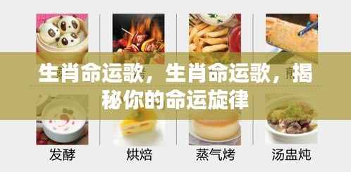 生肖命运歌揭秘,命运旋律随生肖起伏
