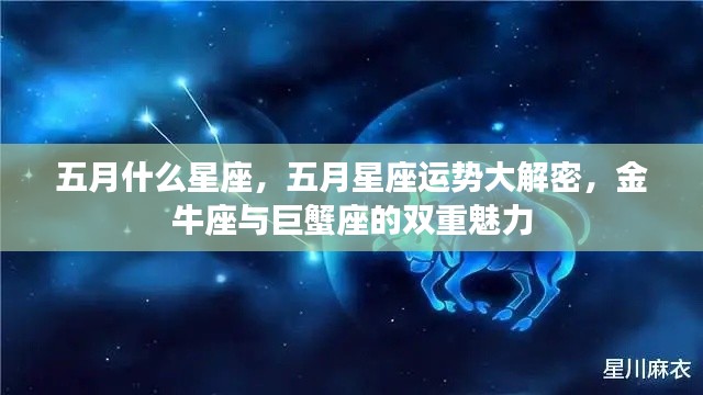 五月星座运势揭秘,金牛座与巨蟹座的双重魅力解密