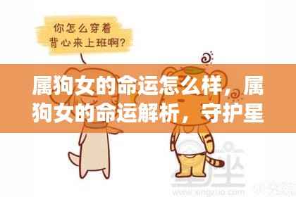 属狗女的命运解析,守护星光下的独特人生轨迹探索